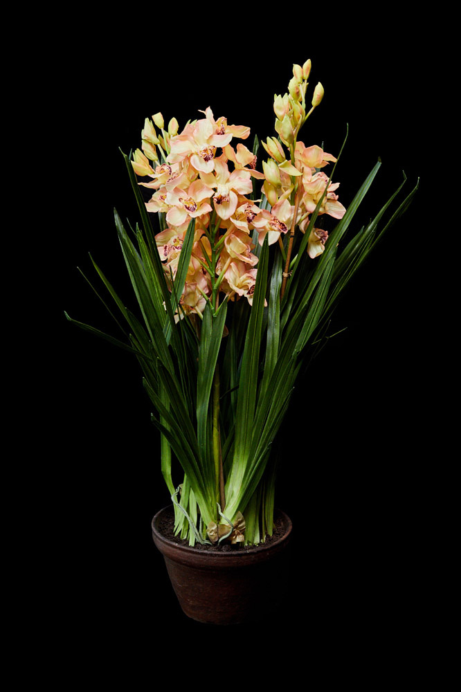 Орхидея искусственная в кашпо