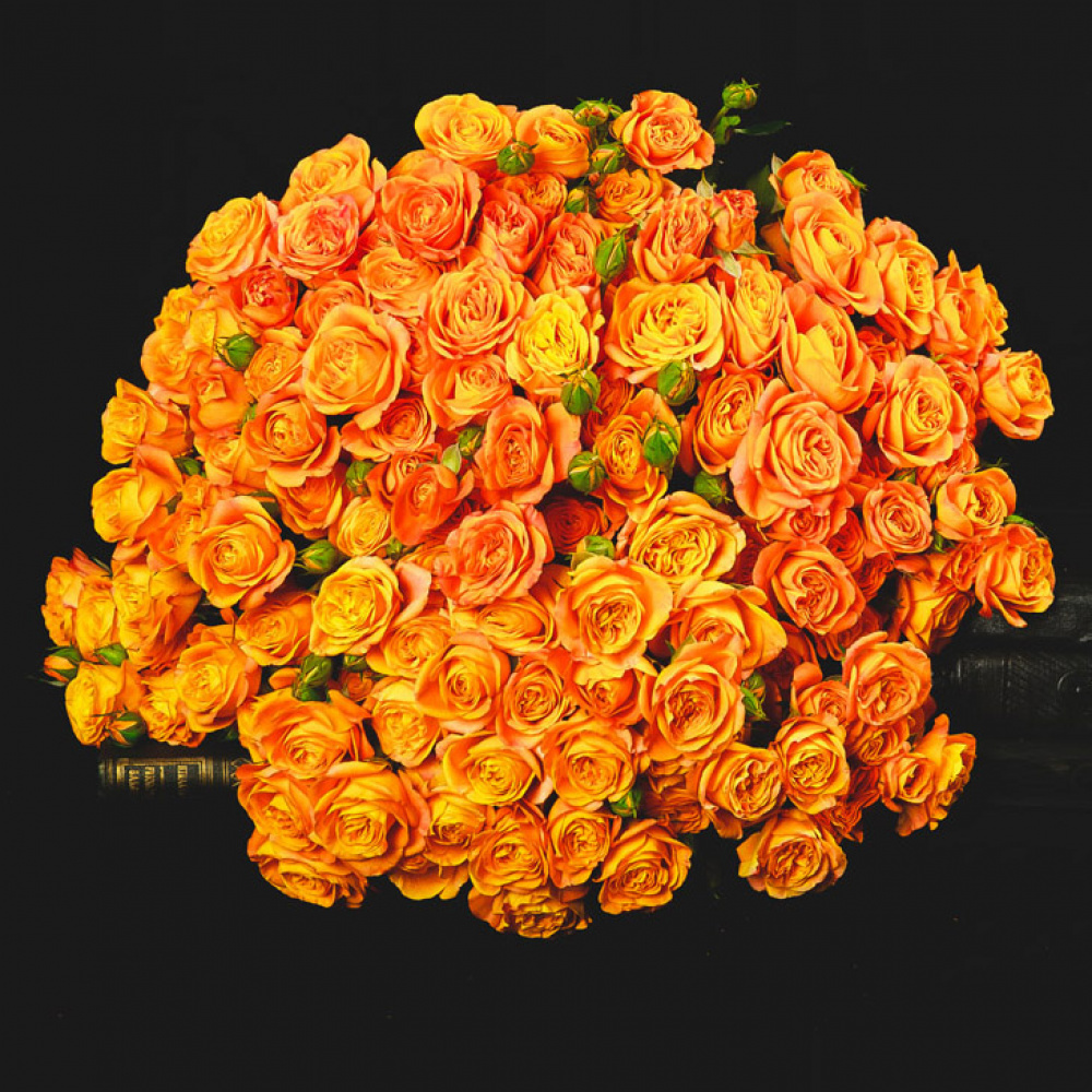 Кустовая роза Orange