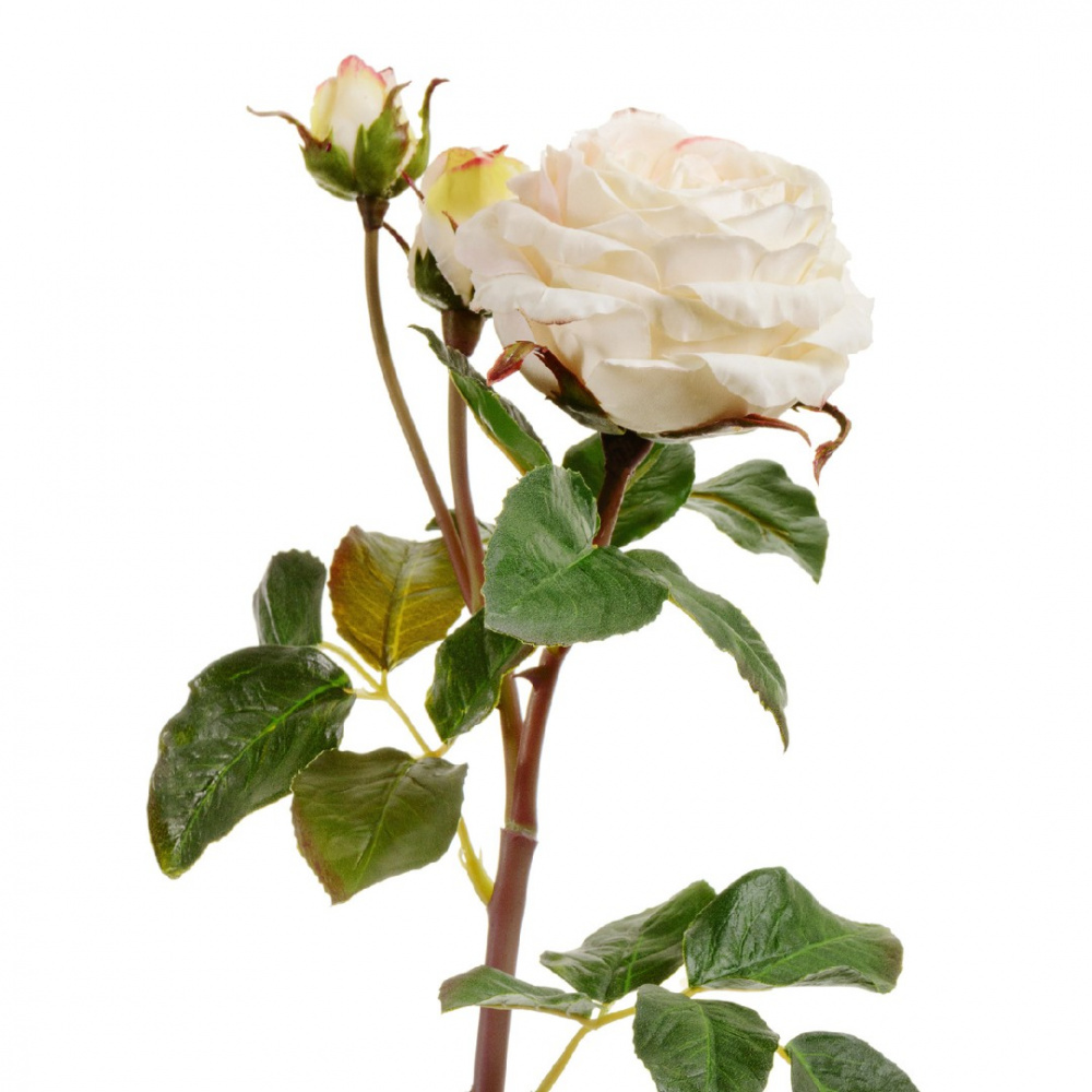 Роза Дэвид Остин Мидл ветвь бело-ванильная искусственная