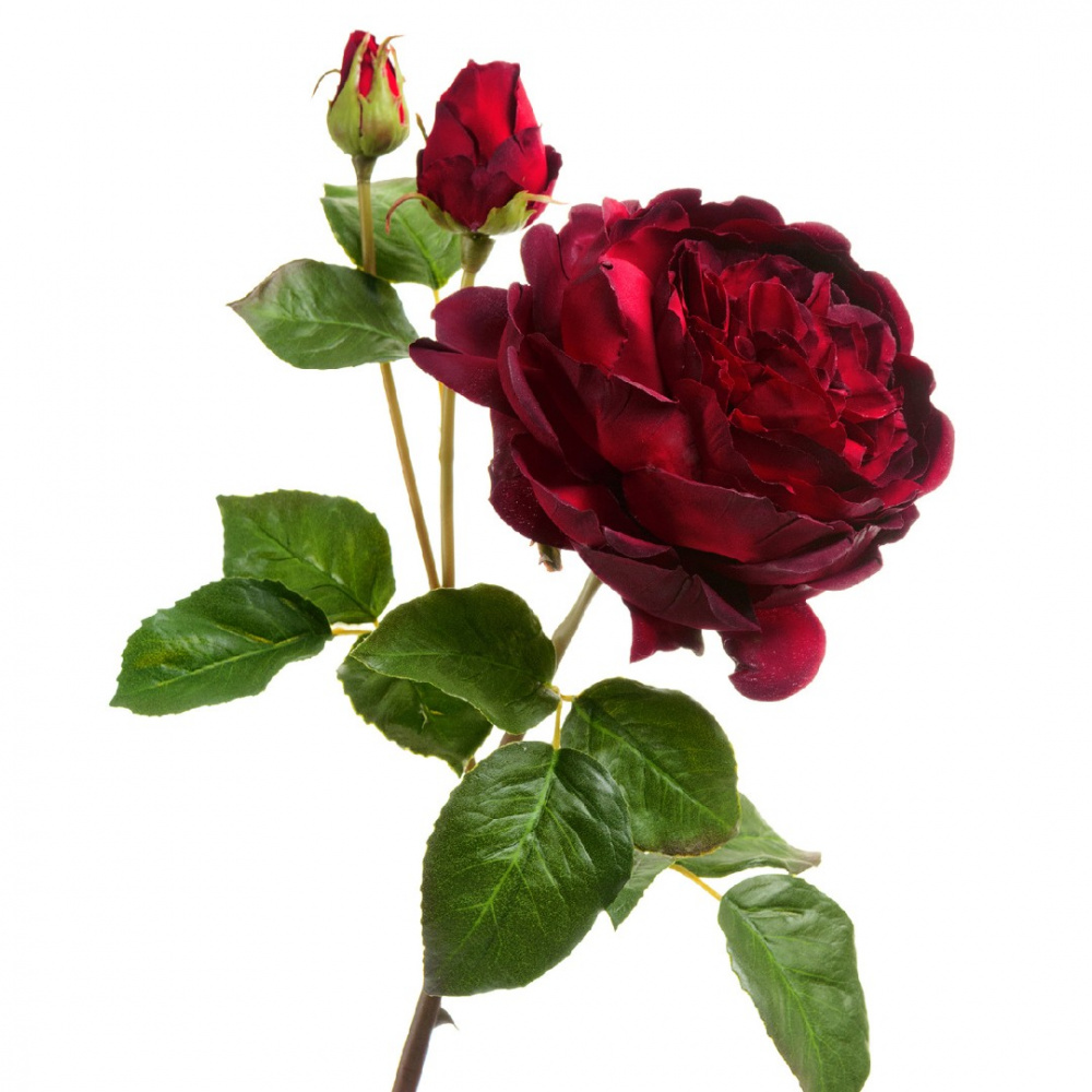 Роза Дэвид Остин Роял ветвь бордово-красная искусственная
