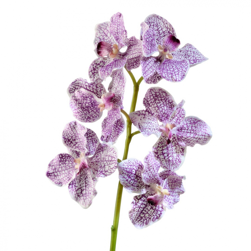 Орхидея Ванда бело-фиолетовая искусственная