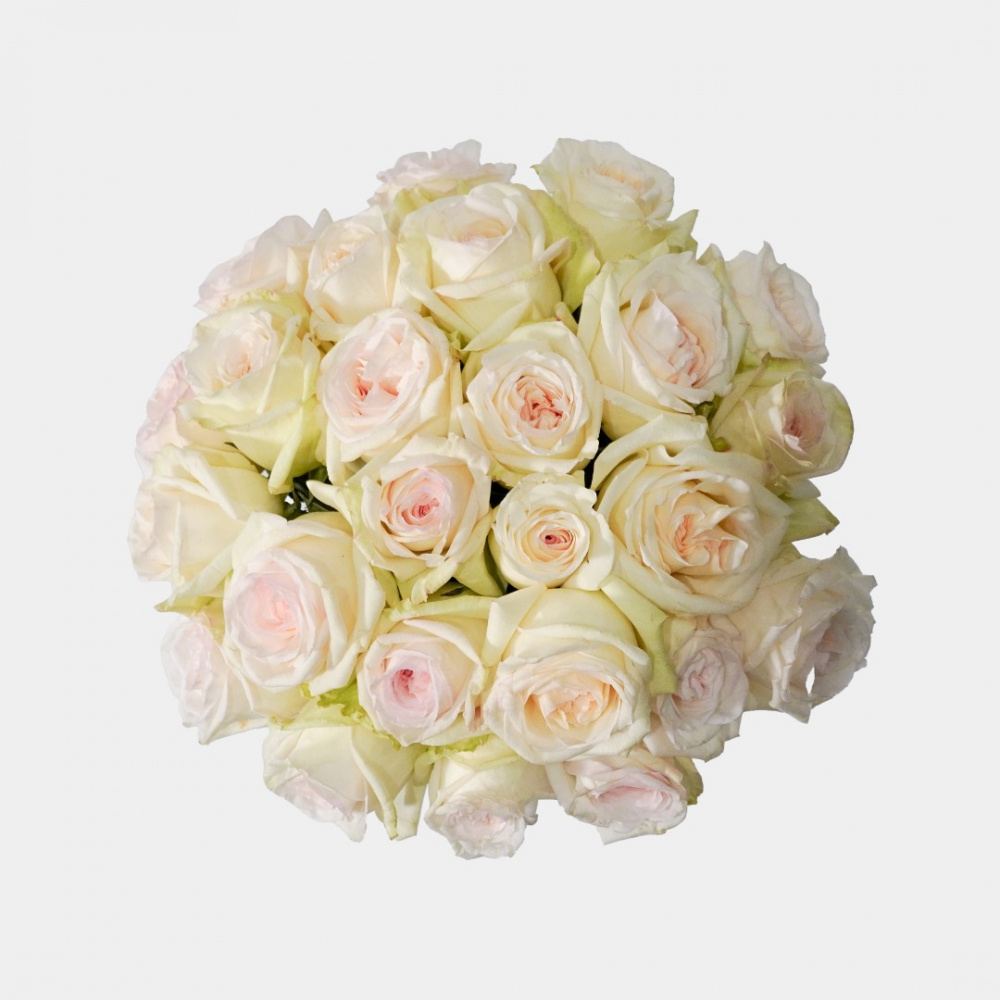 Моно букет M4161